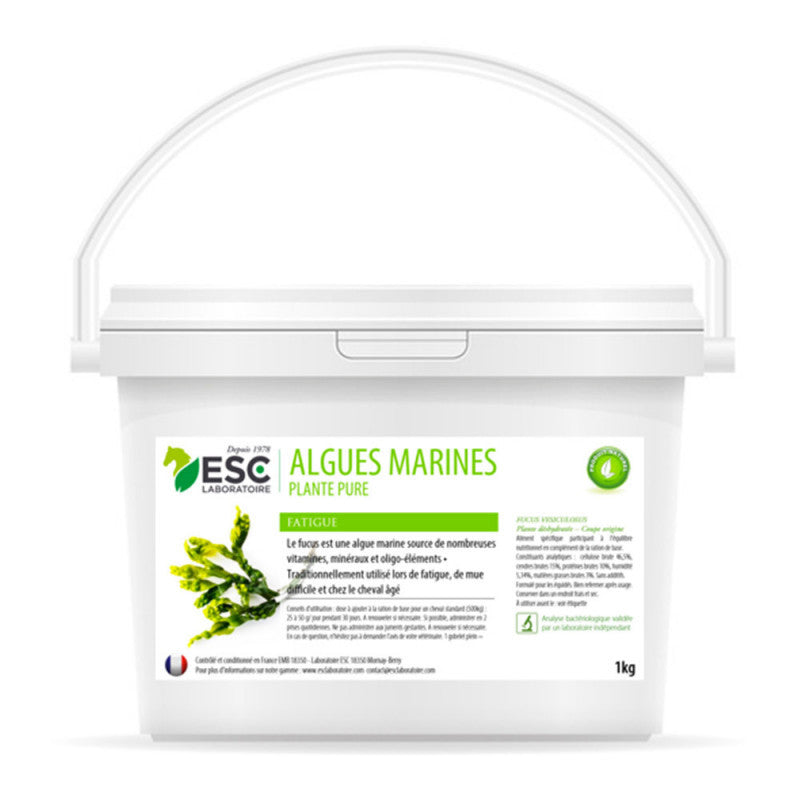 Algues Marines image 0