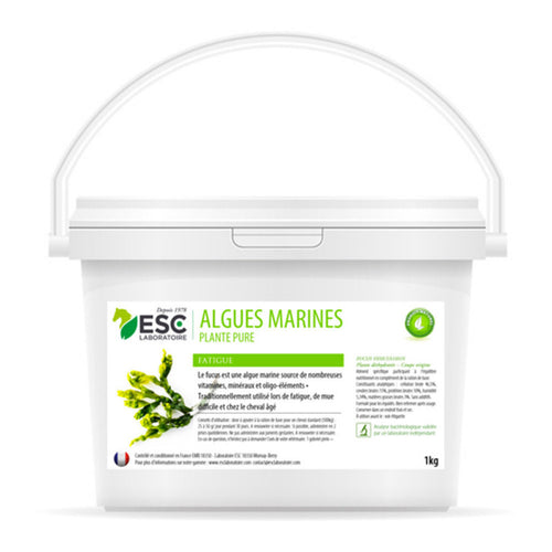 Algues Marines image 0
