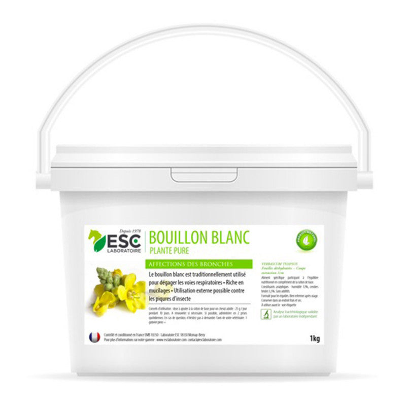 Bouillon blanc image 0