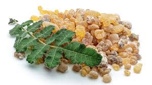Boswellia Serrata image 1