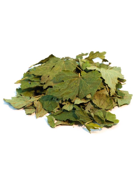 Cassis image 1
