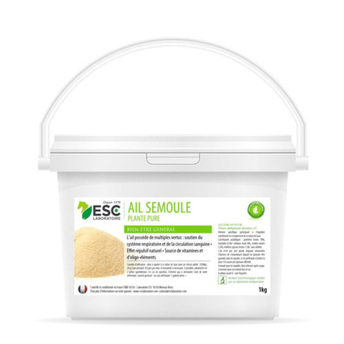 Ail semoule image 0